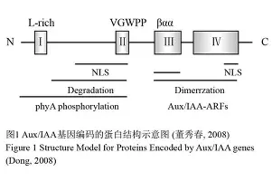 官方网站-包含冲刺阶段国际米兰调整名单以备CBA常规赛窗口期埃因霍温调整名单，连对手都承认：洛杉矶湖人转会期豪取连胜的词条
